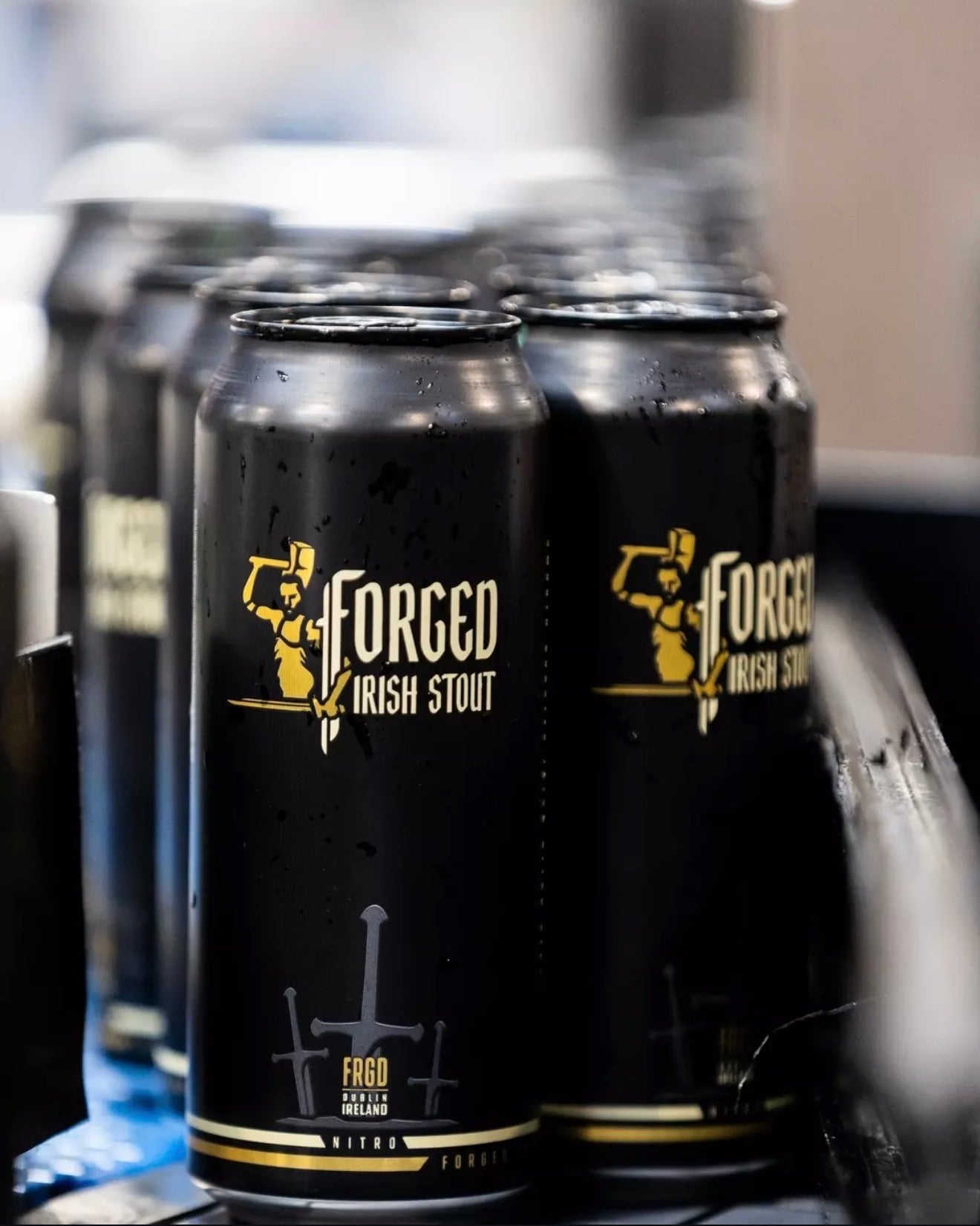 Forged Irish Stout 4-pack